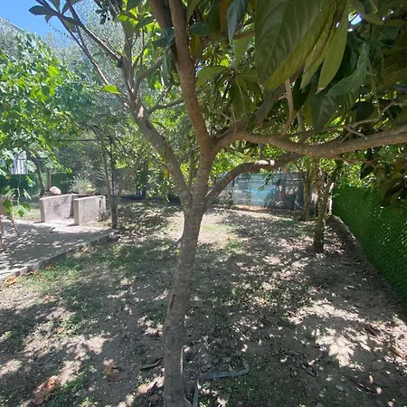 Appartement Catal Kaş